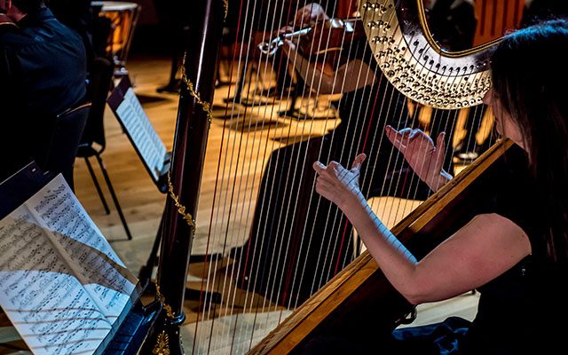 A close up of a woman playing a harp in front of a sheet of music during an orchestral concert.